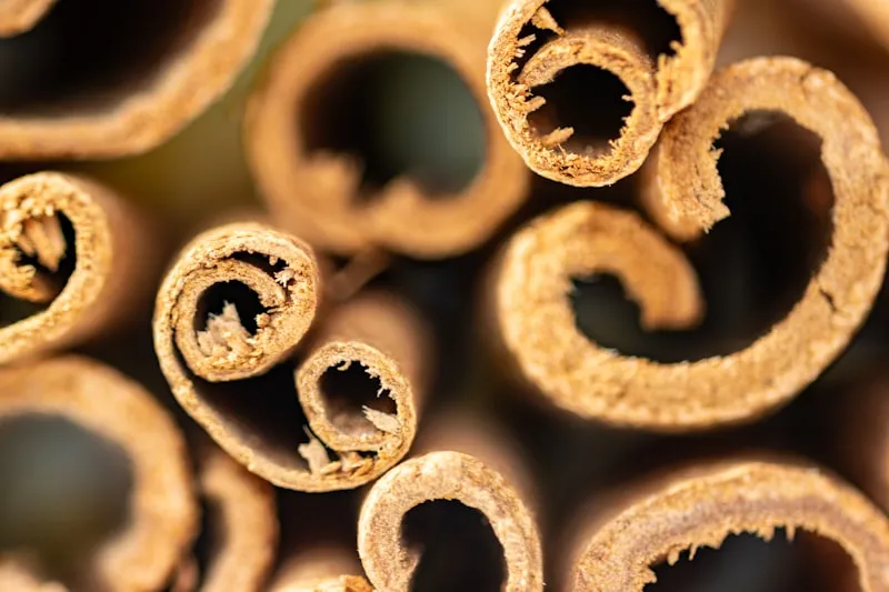 Burn Gummy™ Cinnamon Bark Extract
